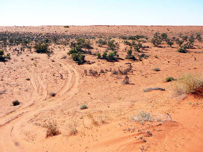 photo of the North Simpson Desert