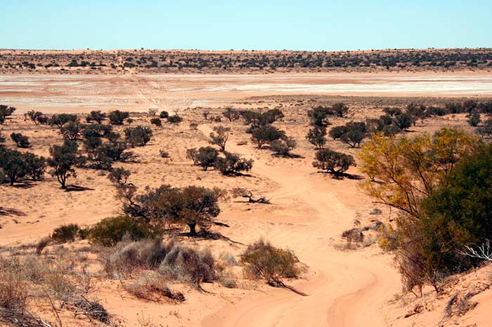 photo of Simpson Desert