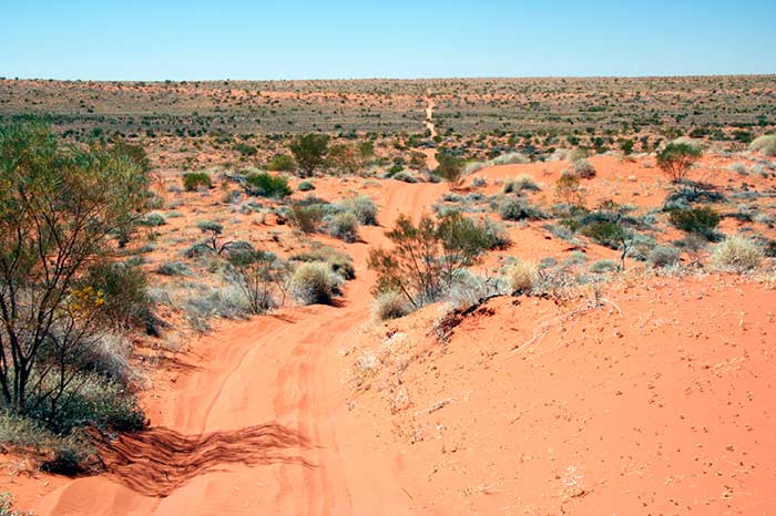 photo of Simpson Desert