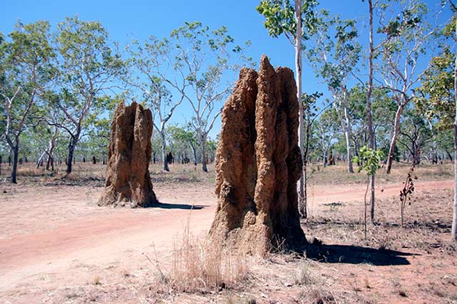 photo of Kakadu National Park