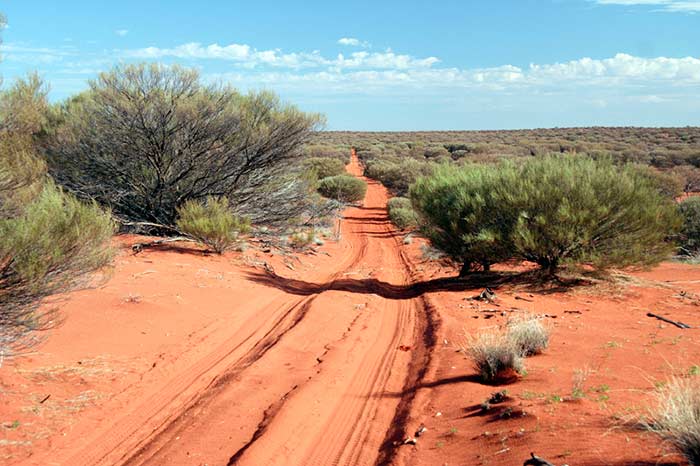The Outback Travellers Track Guide - Anne Beadell Highway
