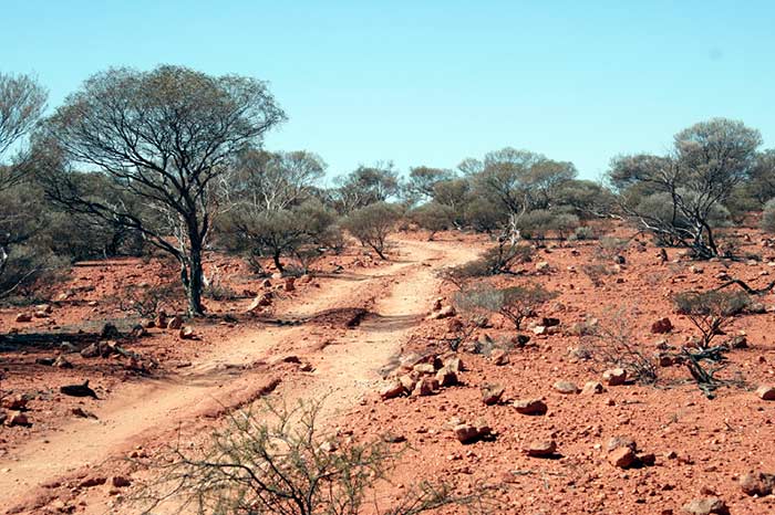 photo of the Canning Stock Route